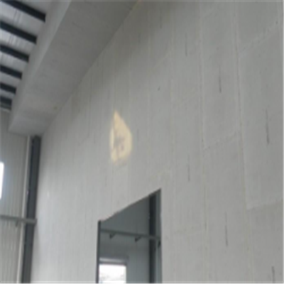 鄄城宁波ALC板|EPS加气板隔墙与混凝土整浇联接的实验研讨